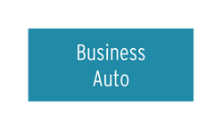 Business Auto