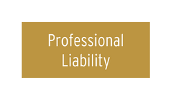Professional Liability